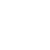 VLAN1 Flash Icon